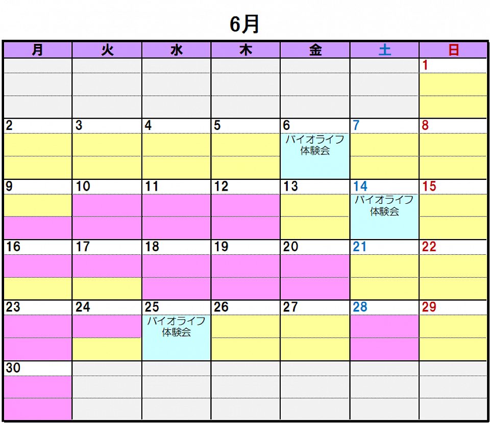 2025年6月のスケジュールです。